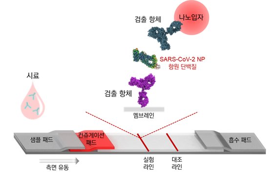 현장에서] '韓연구진 개발' 15분이내 코로나 진단 기술, 국내선 못 쓴다? | 중앙일보