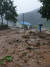 2일 오전 큰 비가 내린 충북 제천시 봉양읍 제비랑 마을이 산에서 흘러내린 토사에 쑥대밭이 됐다. 뉴시스