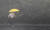 서울 전역에 호우경보가 발효된 2일 서울 종로구 세종대로 인근에서 우산을 쓴 시민이 발걸음을 재촉하고 있다. 뉴스1