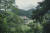전남 장흥 가지산 보림사는 수령 300년이 넘는 비자나무가 빽빽하다. [사진 한국관광공사]