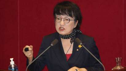 "세금만 열심히 내라" 해명한 김진애 "통합당 의원들에게 한 말"