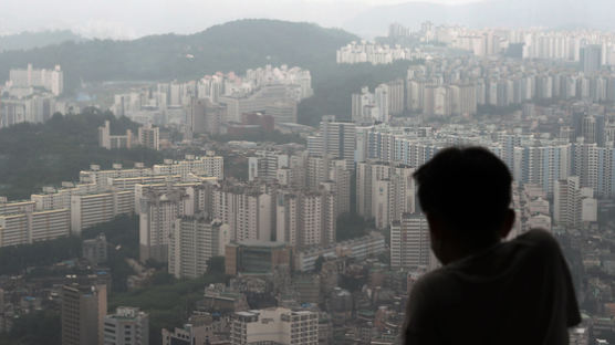 부동산 대책 갈수록 꼬인다…서울 가구 절반이 조사 대상? 