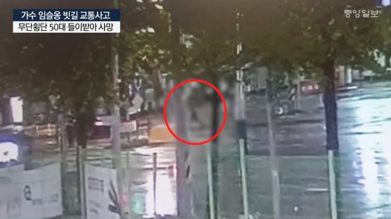 [단독] 무단횡단자 2초만에 '쾅'···임슬옹 사고 CCTV 영상