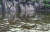 지난달 28일 오후 울산시 울주군 언양읍 대곡리 국보 제285호 반구대암각화가 최근 장마로 물에 완전히 잠겨 있다. [연합뉴스]