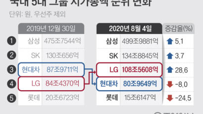 SK·LG 날고 현대차·롯데 추락…'반바모'에 갈린 5대그룹 시총