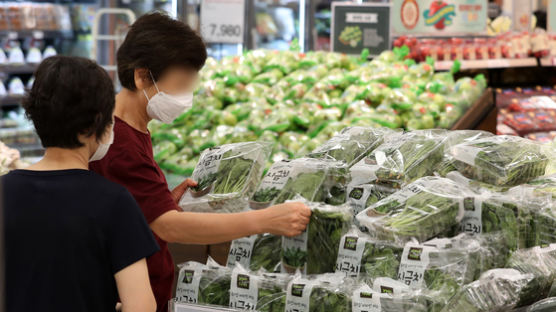 "배추·마늘·양파 가격 문제없다"…농식품부, 총력대응 