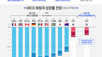OECD "올 한국 경제성장률 -0.8%"…37개국 중 1위 꼽았다