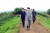 박봉주 북한 국무위원회 부위원장이 최근 수해를 입은 황해북도 은파군 대청협동농장을 둘러보고 있다. [뉴스1]