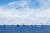 지난 7월 21일 필리핀 인근 해역에서 미국·호주·일본 삼각 함대와 전투기 편대가 자유롭고 개방된 인도·태평양 수호를 내걸고 훈련하고 있다. 왼쪽부터 호주 호바트함, 아룬타함, 미 해군 머스틴함, 호주 캔버라함, 미 항모 로널드 레이건함, 호주 시리우스함, 미 해군 앤티텀함, 일본 해상자위대 테루즈키함, 호주 스튜어트함. [미 해군 페이스북]