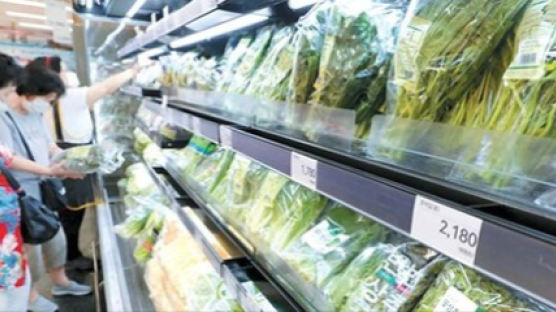 장마로 가격 오른 채소 사면 할인…농산물 가격 안정화 대책