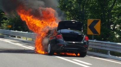 ‘BMW 화재사고’ 쏘카 승소…184억원 차주 손해배상에도 영향 미칠까