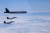  한미연합훈련에 맞춰 미국 폭격기 6대가 한반도 근해에서 비행했다. 사진은 이전 훈련 모습. [뉴스1]