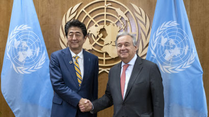 WTO에 후보 못내 충격받은 일본…관저 주도 국제기구 총장 만들기 나선다