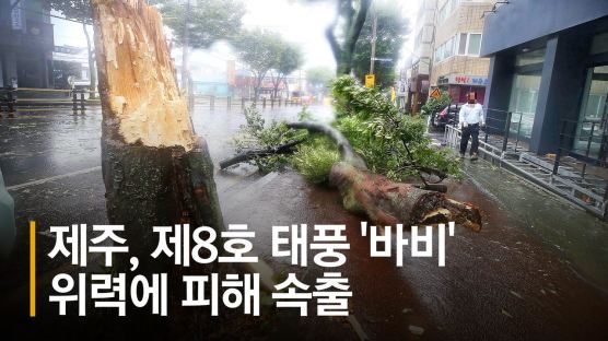 아파트 뜯기고, 간판이 車 덮쳤다···제주, 태풍 바비 직격탄