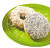 열대 과일의 왕으로 불리는 코코넛과 파인애플을 활용한 8월 이달의 도넛 3종. 리얼 코코넛 커피 도넛, 리얼 코코넛 버터크림 필드, 썸머 파인애플 필드로 구성됐다. [사진 던킨]
