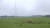 지난 4일 제주도 표선면 가시리목장에 위치한 가시리 풍력발전단지의 모습. 이 곳엔 소와 말 450마리가 살고있다. 최연수기자