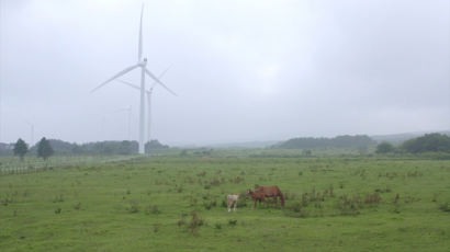 마을 공동목장에 세운 풍력발전…임대료로 장학금, 관광객도 온다