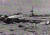 6ㆍ25전쟁 중이던 1951년 9월 수원 부근에 불시착한 F-80 전투기. F-80은 미국 최초의 제트전투기로 한국전쟁을 통해 실전에 데뷔했다. [한국전쟁유업재단] 
