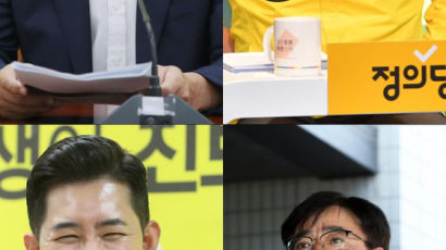 '땅콩회항' 박창진과 붙는다…배진교, 오늘 의총서 사의 표명