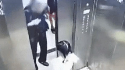 [영상] 엘리베이터서 할머니 놓친 中세살배기 '안타까운 추락'