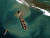 맥사 테크놀로지가 지난 18일(현지시간) 제공한 위성사진에 모리셔스 동남쪽 해안에서 좌초된 두 동강 난 일본 선박 와카시오호(MV)의 모습이 보인다. [AFP=연합뉴스] 