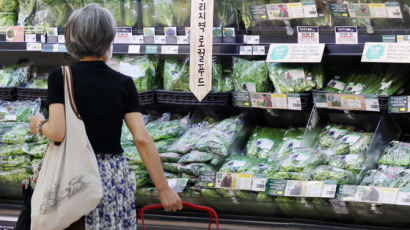 장마ㆍ호우에 8월 채소값 28.6%↑…소비자물가 5개월만 최대폭 상승 
