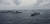 미국·인도·일본·호주 '4국 안보대화'(쿼드)는 매년 말라바르 훈련을 실시한다. 사진은 2017년 벵갈만에서 말라바르 훈련에 참여한 미 항공모함 니미츠함(맨 왼쪽)과 일본 자위대 및 인도 해군. [미 해군 제공]