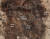 경주 황남동 120-2호분 조사에서 은허리띠, 은팔찌, 은반지 노출 모습. [사진 문화재청]