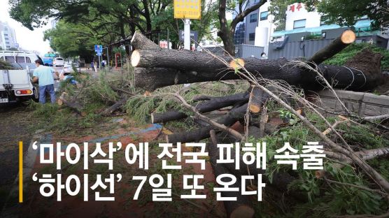 [서소문사진관] 역대급 태풍 '마이삭' 동해안 할퀴고 동해 거쳐 북한으로 