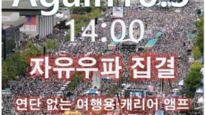 "10월 3일, 폰 OFF" 최대 3만명 규모 집회 예고한 보수단체