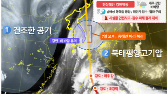 태풍 '하이선' 동쪽 틀어도 위력 여전…6일 전국 물폭탄 