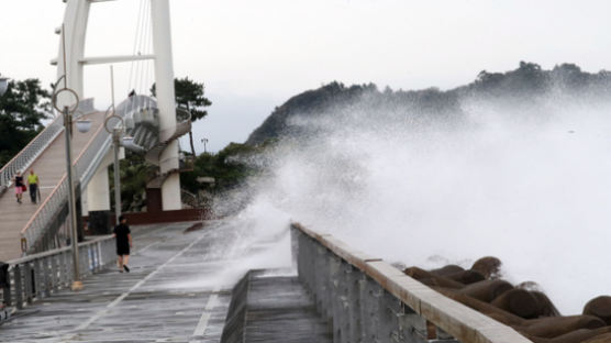 중대본, 태풍 하이선 위기경보 '심각'으로… 대응수위 3단계