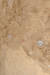 2011년 김해 대성동 76호분에서 목걸이 원석들이 발굴됐을 때 현장 모습. 3세기 말~4세기 초 금관가야 시기 수장층의 공동묘지로 발굴 당시에 목걸이를 엮었던 끈은 부식돼 없었지만 오랜 고고학적 성과를 토대로 현재와 같은 모습으로 복원했다. [사진 문화재청]