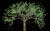 미디어 아티스트 제니퍼 스타인캠프의 대표작 ‘주디 크룩’ 장면들. 나무의 사계절을 애니메이션으로 압축해 보여주는 디지털 영상 설치 작품이다. 실제 나무를 찍은 게 아니라 작가가 직접 컴퓨터 소프트웨어로 구현했다. [사진 리안갤러리]