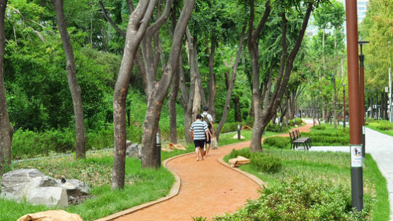 서울 강남 '맨발로 걷는 황톳길'…양재천로의 변신