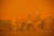 샌프란시스코의 스카이라인이 9일 산불 연기가 밀려와 오렌지색으로 변했다. AFP=연합뉴스