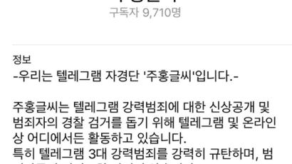 [단독]텔레그램판 디지털교도소 "악마 잡으려 악마 됐다" 잠적