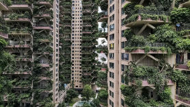 [서소문사진관] 수풀 우거진 중국 '정글 아파트', 입주민이 극소수인 까닭은...