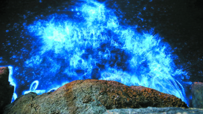 [한 컷] ‘바다의 오로라’ 발광 플랑크톤의 반전