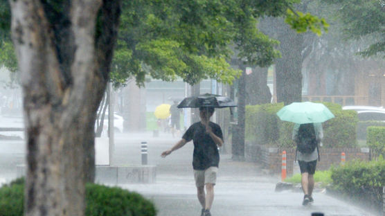 "우산 챙기세요" 전국 흐리고 비…낮 최고 27도