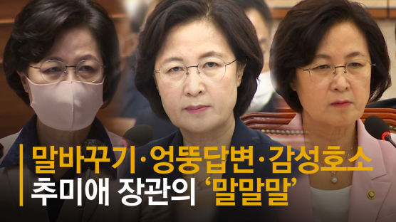 '윤미향 대응' 반성?…'추미애 논란' 등에 靑 직접 홍보전 나서나