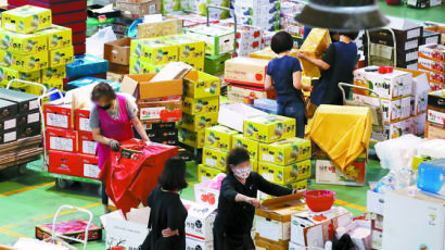 [사진] 추석 선물 포장 분주한 청과시장