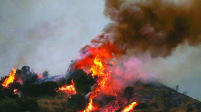 [사진] 산불·허리케인 … 미국 잇단 재해