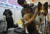 지난 7월 19일 부산 해운대구 벡스코에서 열린 '2020 반려동물박람회'에 참가한 애견미용학원 부스에서 한 강사가 애견미용 시범을 보이고 있다. 송봉근 기자