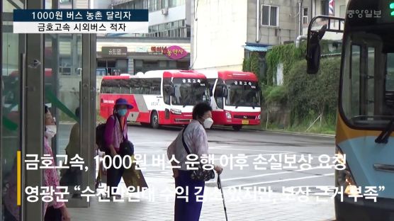 "1000원 버스에 1억 손해봤다" 고속버스사, 농어촌에 보상 요구