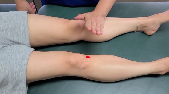 [더오래]무릎 안쪽 눌렀을 때 아프면 관절염 가능성 