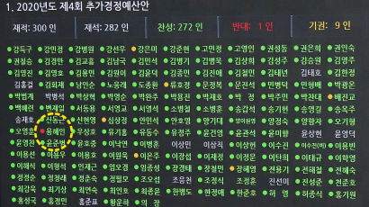 여야 “환영”, 정의당·기본소득당 반응은 ‘싸늘’…용혜인 유일 반대표