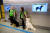 지난 22일(현지시간) 핀란드 헬싱키공항에서 코로나19 탐지견 발로(왼쪽)과 이티가 검사를 위해 대기하는 모습. AFP=연합뉴스
