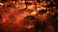 연중 대형산불 겪는 한국…'산불 조심 기간' 이젠 의미 없다