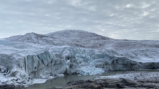 [VR 영상] 그린란드선 모기장 뒤집어썼다, 빙하 눈물의 저주